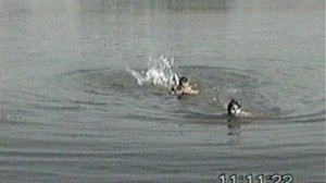 Купание в пруду первомайск.