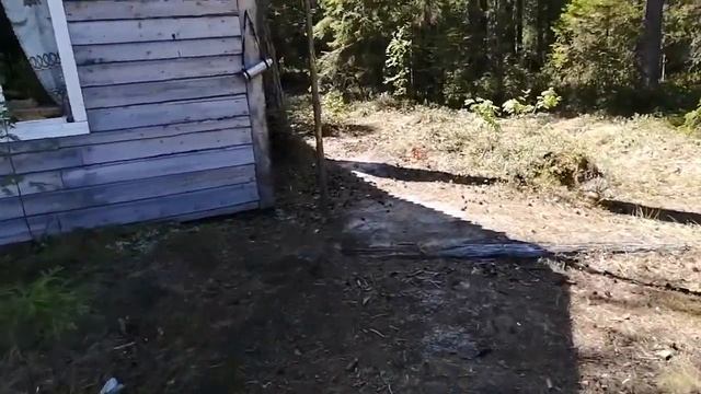 Путешествие в Царство Тайменя смотреть онлайн