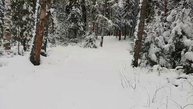 БРОСАЙ КОМПЬЮТЕР-----ВСТАВАЙ НА ЛЫЖИ!!! #КОСТРОМАЛЫЖНАЯ2019 🎿