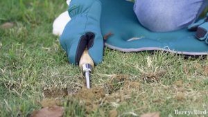 Совок ручной посадочный Berry&Bird-2