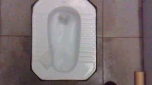 San Shing Avenue Public Toilet,Squatting EXQ With Handle Flush