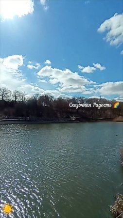 Красота 😍 одного дня! 30.03.25 Саратов парк Семхоз. Солнечный ☀️