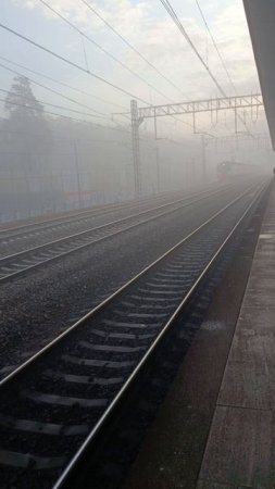ЭД4М-0492 у о.п. Ольгино в сильном тумане.