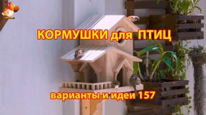 Кормушка для птиц своими руками как сделать пошагово  (157) 🪚🪛🔨 Идеи для дачи и сада❣️