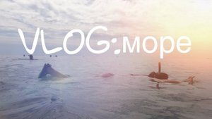 Отпускной влог №2/в бассейне/Паралия/гуляем/питание в кафе/Анапа/океанариум