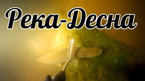 Щука на каждом нырке. Река-Десна перед запретом