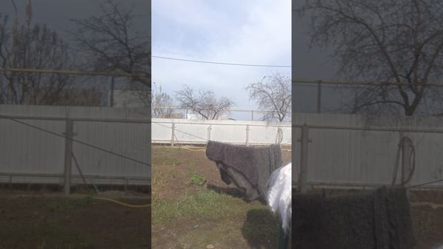 1000149429.mp4Пуховые изделия.т.89020931602
