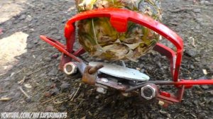 EXPERIMENT: BEAR TRAP vs WATERMELON