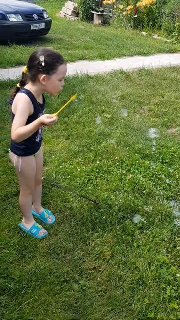 Чихуа хуа мини и мыльные пузыри смотреть онлайн