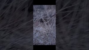31-03-2025
