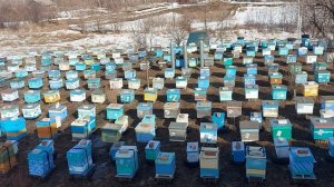 Выставка 2025 год.