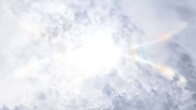 NTO - Eden [33]