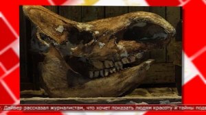 31.03.2025 Мировые новости