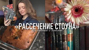 Читаю «Рассечение Стоуна» | Как я веду учёт библиотеки | новая сумка ручной работы