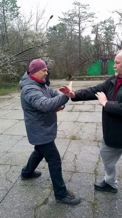 Туй шоу тайцзийуань.