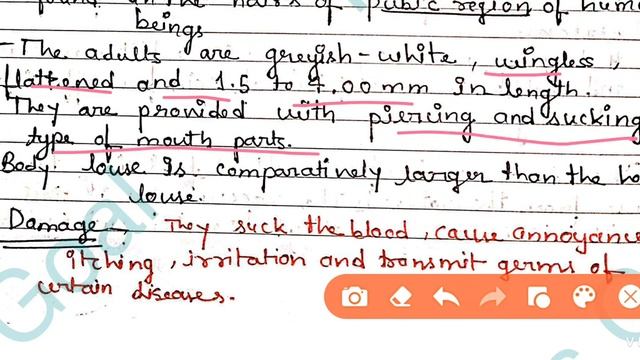 Biology and control of Lepisma, Pediculus and Cimex смотреть онлайн