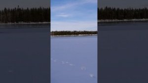 09.03.2025 г. Корюшка. Ловля корюшки.