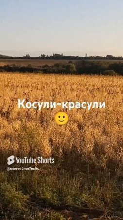 Косули 🙂