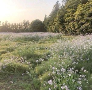 моя трансляция срази извиняюсь за отсутствие