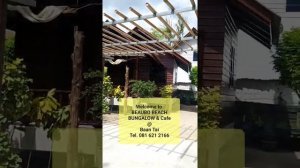 Phangan StartUp: BeauBo Beach Back to wake up your life