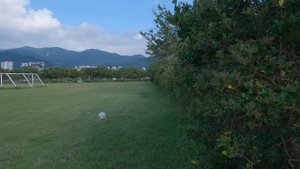 Остались дома в отпуске и это было круто! Моё хобби. Катя и Кюдэ/Южная Корея