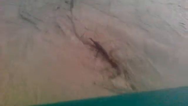 река гумс чечня гудермес 47% .mp4 смотреть онлайн