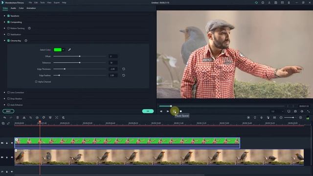 Remove Video Green Screen in Wondershare Filmora 10 смотреть онлайн