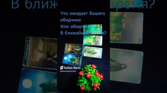 Что ожидает Вашего обидчика или обидчицу в ближайшее время?