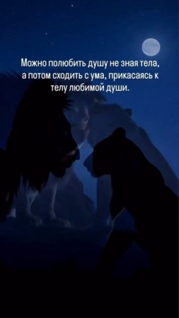 Правда