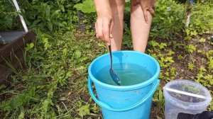 Чем подкормить томаты от жирования и для налива плодов?