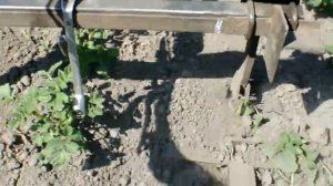 мб АГРО  вычесывание сорняков.