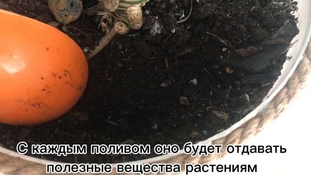 Второе правило здоровых растений 💐 Секрет раскрыт 🔥 смотреть онлайн