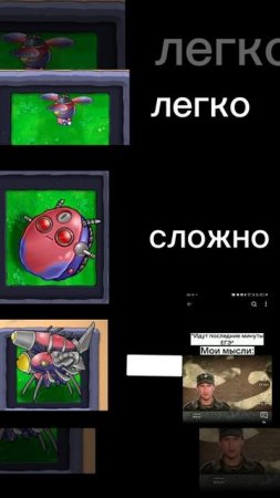 д