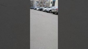 Гуляю по дворам славного города Санкт-Петербурга