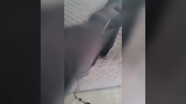 Моделирующие итальянские колготки. Ссылка в описании 👇