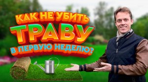 Уход за рулонным газоном в 1 неделю