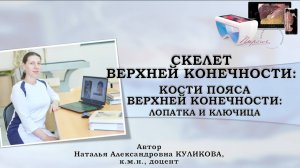 ВИДЕОУРОК. СТРОЕНИЕ ЛОПАТКИ И КЛЮЧИЦЫ
