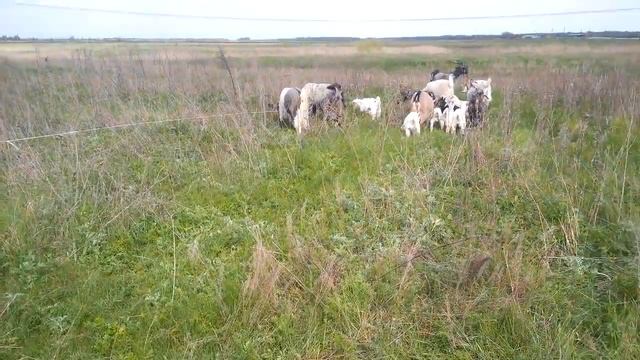 Скоро уедут... смотреть онлайн