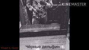 Гио пика_Чёрный дельфин...