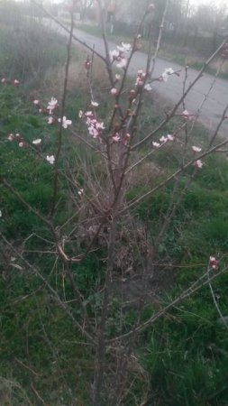 VID_20250328_185033