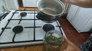 борьба с тлёй и с мучнистой росой на смородине
