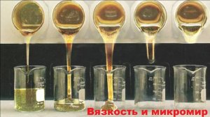 Вязкость и микромир. Беседа с физиком из Дубны)