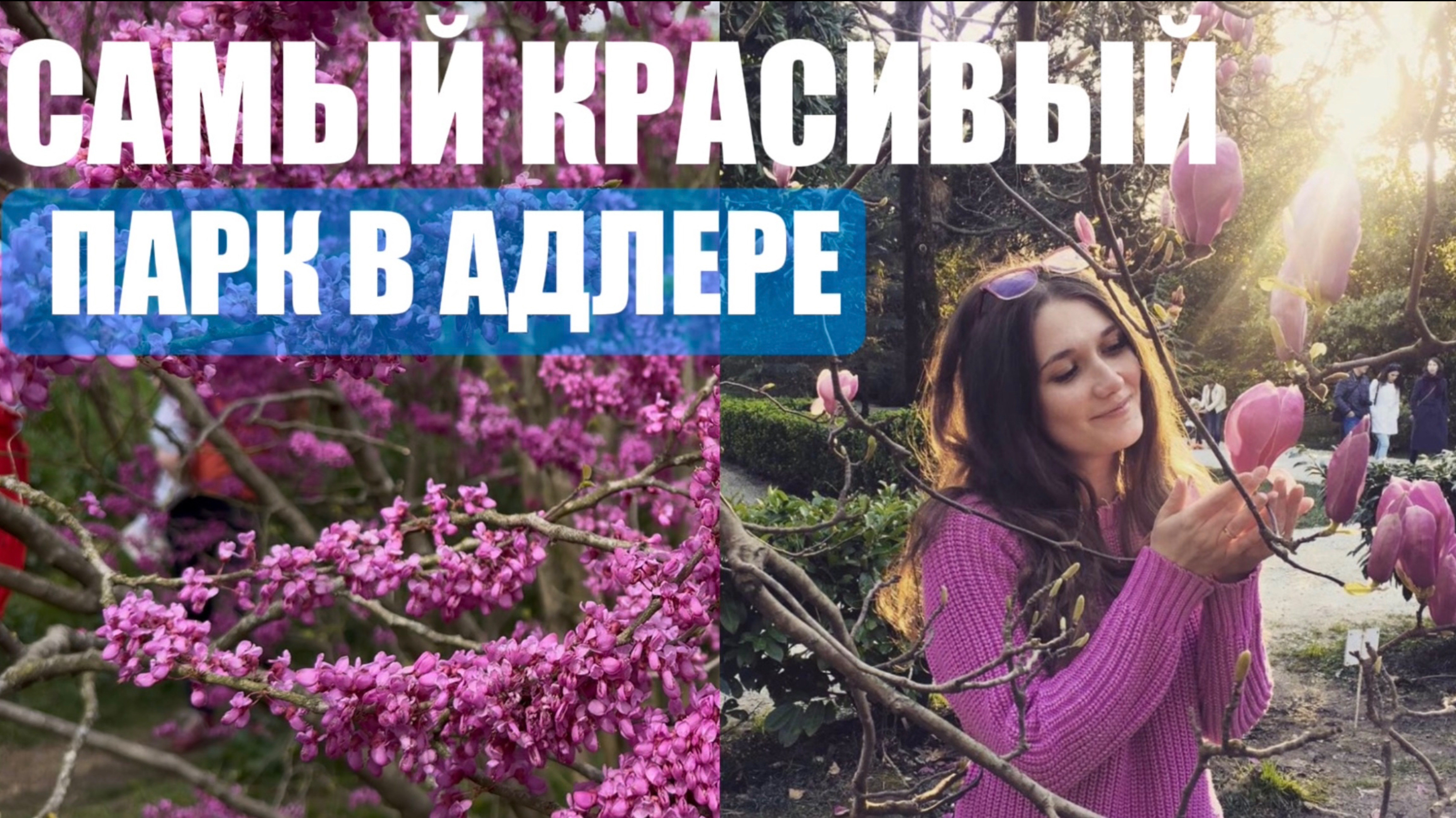 Сочи 2025 в марте! Парк,который точно стоит посетить! Сакура и магнолия. Лучший парк Адлера!