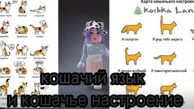 кошачий язык и настроение смотреть онлайн