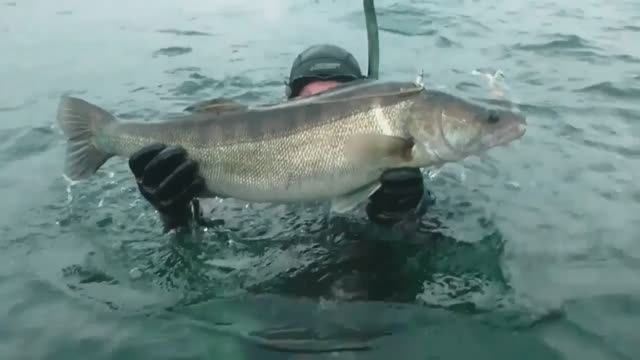 удачная охота смотреть онлайн