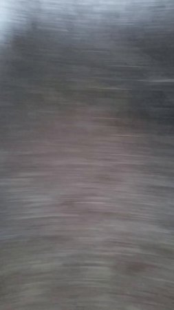 scene_output.mp4