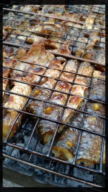 Вкуснейшая рыба на мангале. Кому дать рецепт? #шашлык #рыбанамангале #shorts