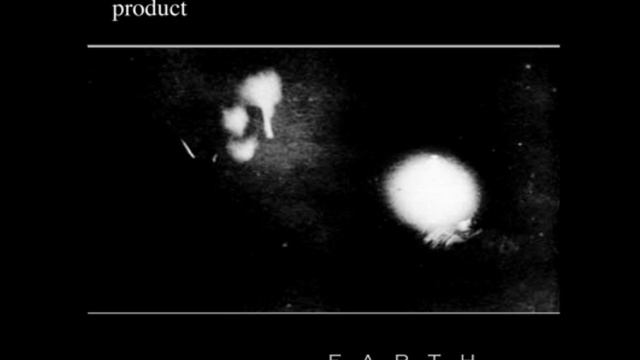 Product - White Dove - Earth