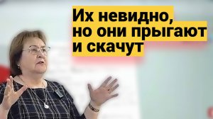 Нас они обложили со всех сторон ● Перед их дерзостью и наглостью МЫ ТЕРЯЕМСЯ ● Ищем ЯД ЛОМЕХУЗ