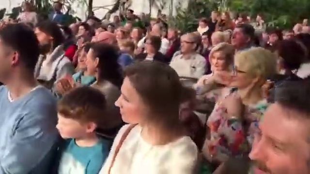 Добраночь в оранжерее